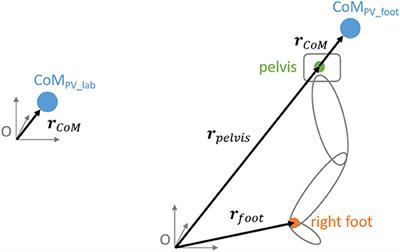 Stride-to-Stride Variability of the Center of Mass in Male Trained Runners After an Exhaustive Run: A Three Dimensional Movement Variability Analysis With a Subject-Specific Anthropometric Model